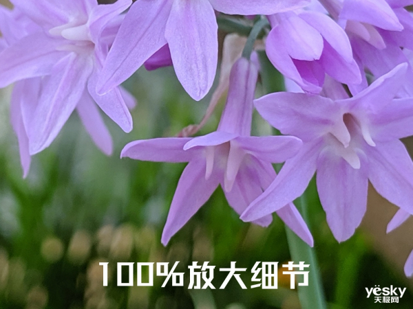 ȸеͶ˵ֻ֣ҹ黯Ч