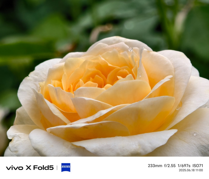 ȫ۵vivo X Fold5⣺iPhone̬V̬