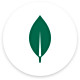 MongoDB Compass