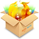 HofoSetupװʦ