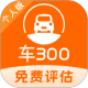 300ֳ